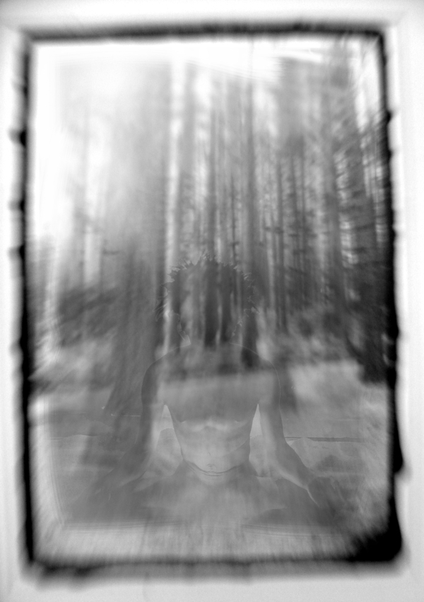 tiger tiger burning bright in the forests of the night