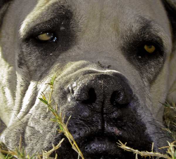 For you Tau with love.