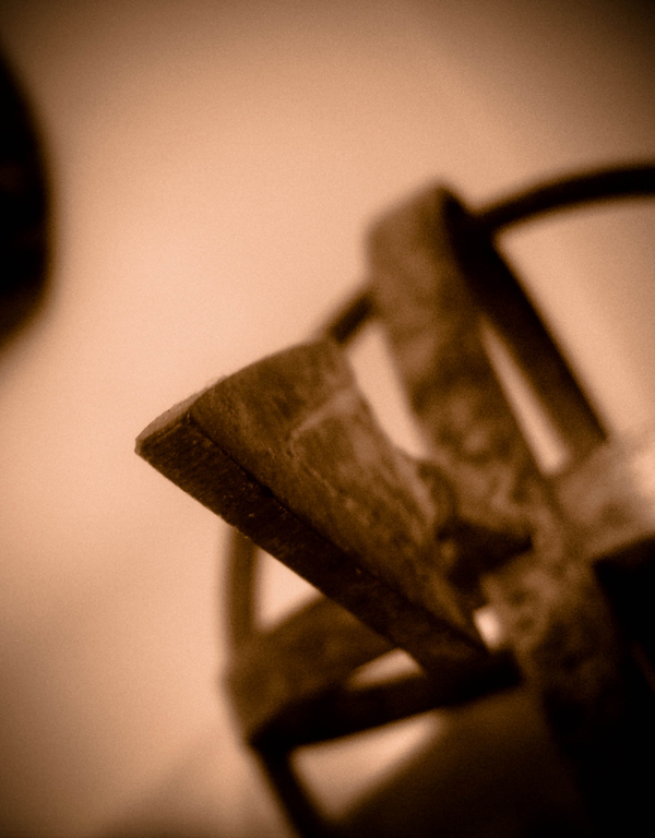 Seeking a sense of direction