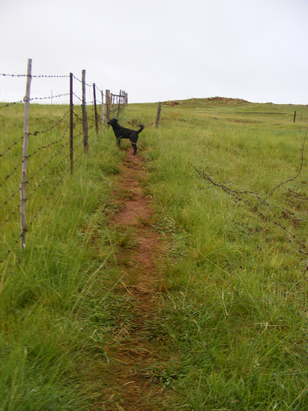 TravellingMan -- Origins: Eastern Cape [1]