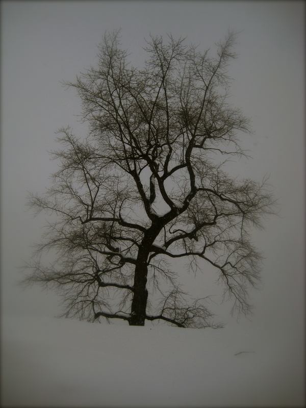 You must understand that my thoughts are those of a man. I am as strong as a man. I am as smart as a man. I demand the absolute respect of a man.*