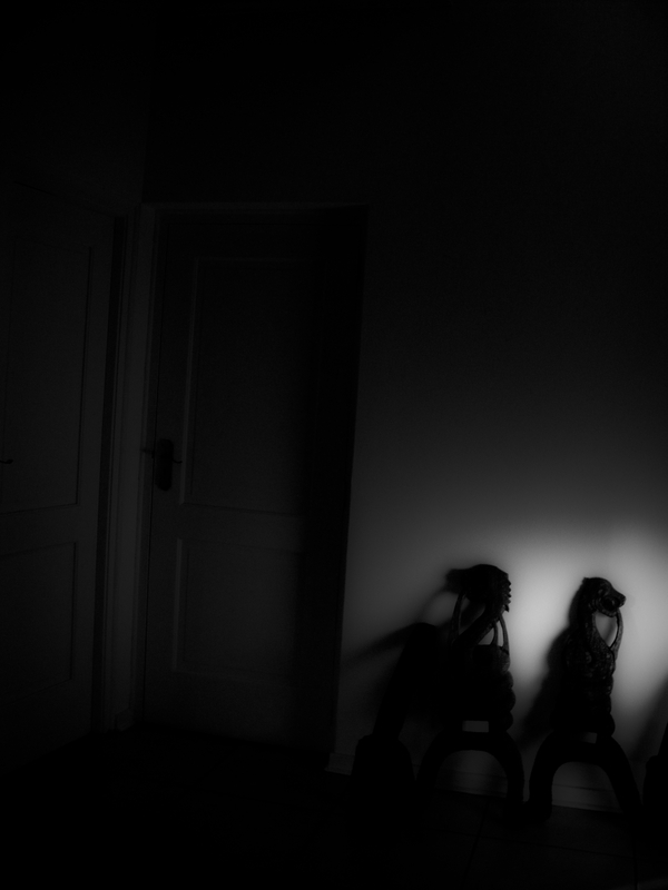 Mama and papa snake filing...