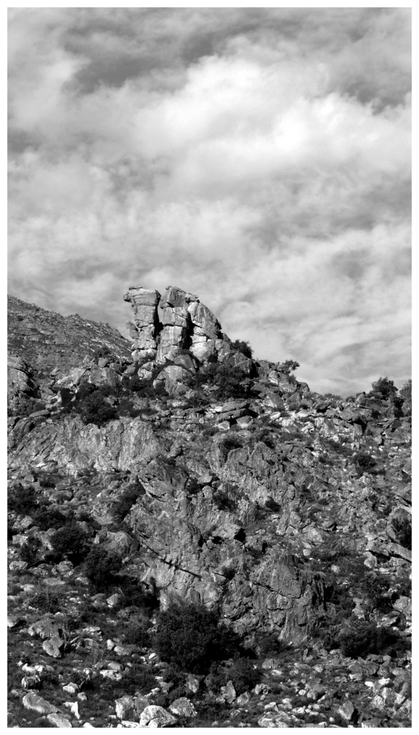 Forward to Cape Town ^02