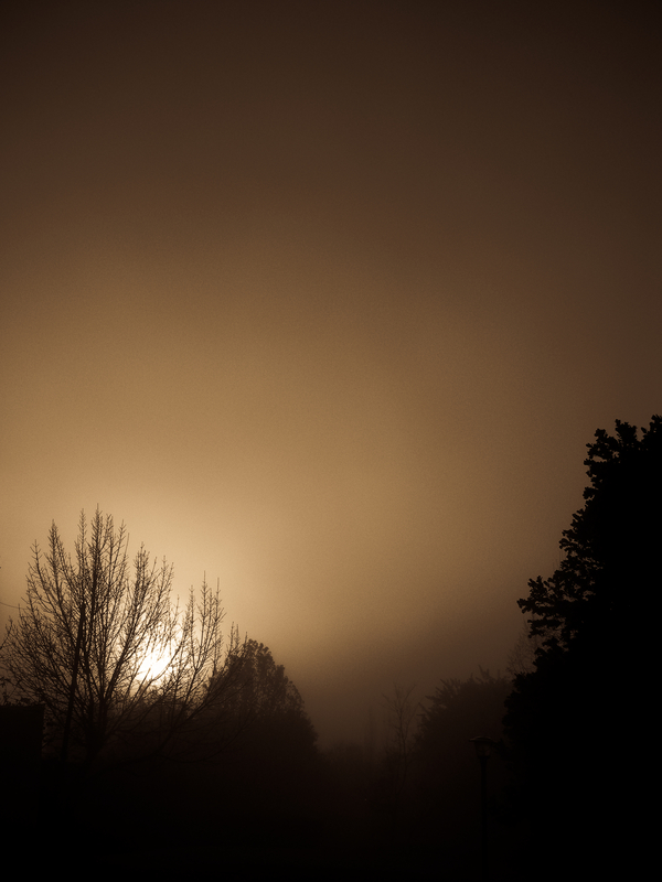 Lady winter |There i go, odd one out|