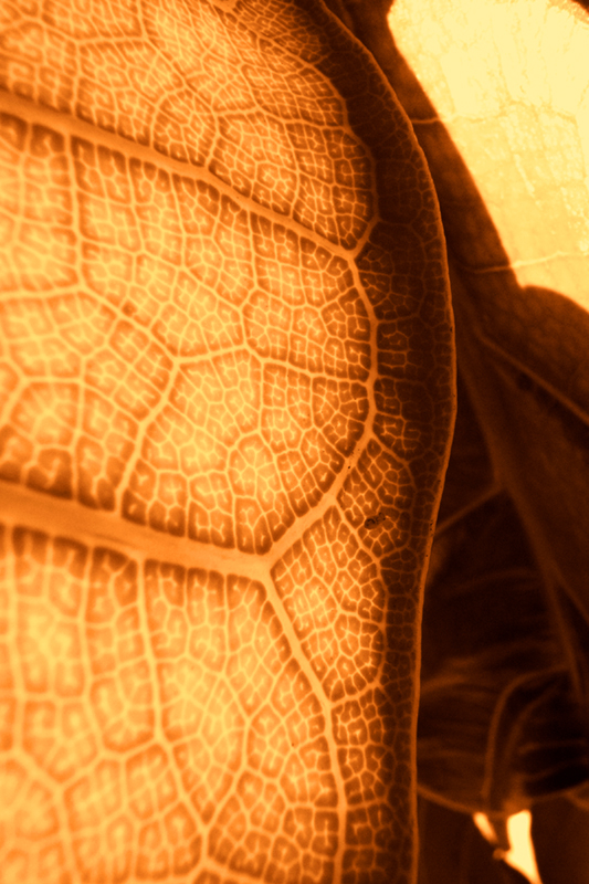 Against the edge city