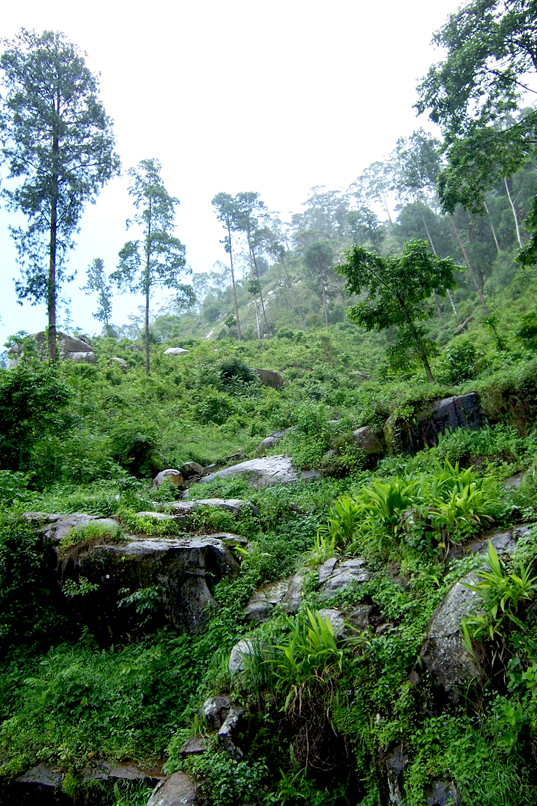 TravellingMan - RoadTrip Mangochi [3]