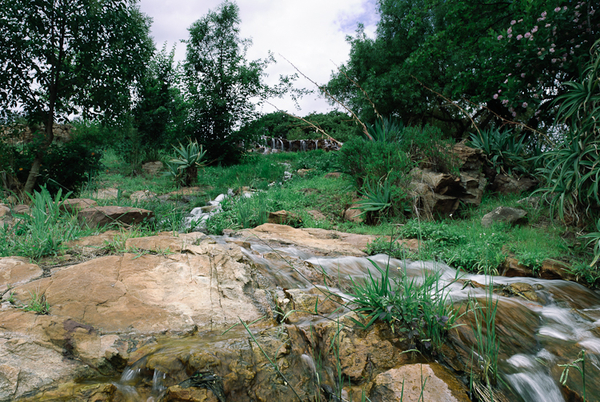 Believe it, it is true