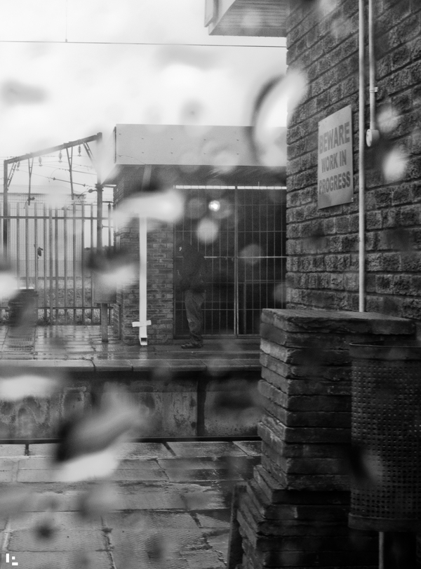 Platform - Work in progress