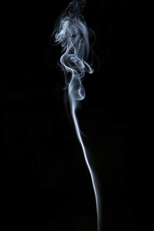 Smoking sea horse