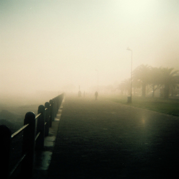 in the mist with my brownie