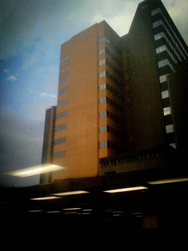 Looking up to the sunny side...