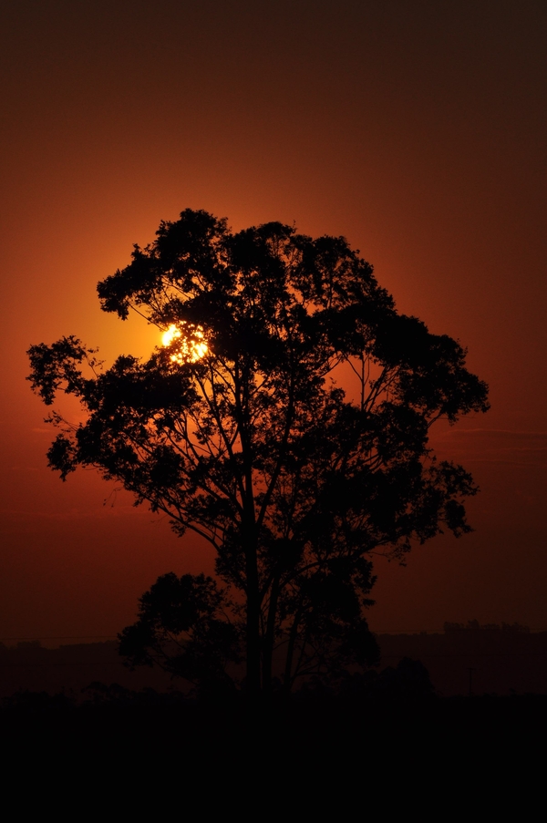 Haven's on fire.......