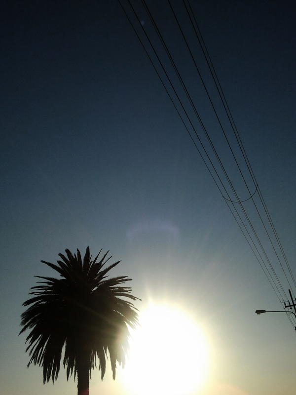 A Road trip is calling...