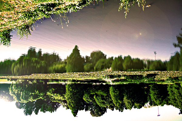 Nature on a handstand