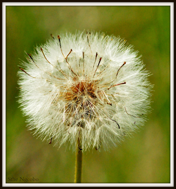 Ready to take flight........