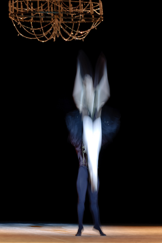 Taking flight