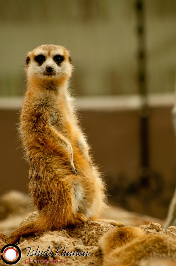 Look At Me Now: Im Getn Cameras