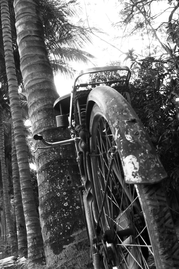 My Lens sees Black and white