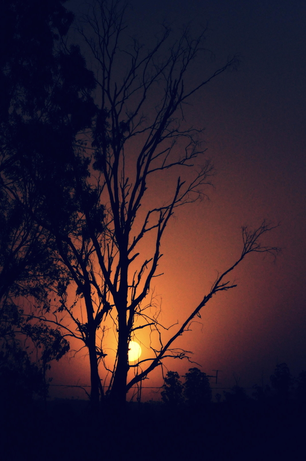 Warm days ahead.....