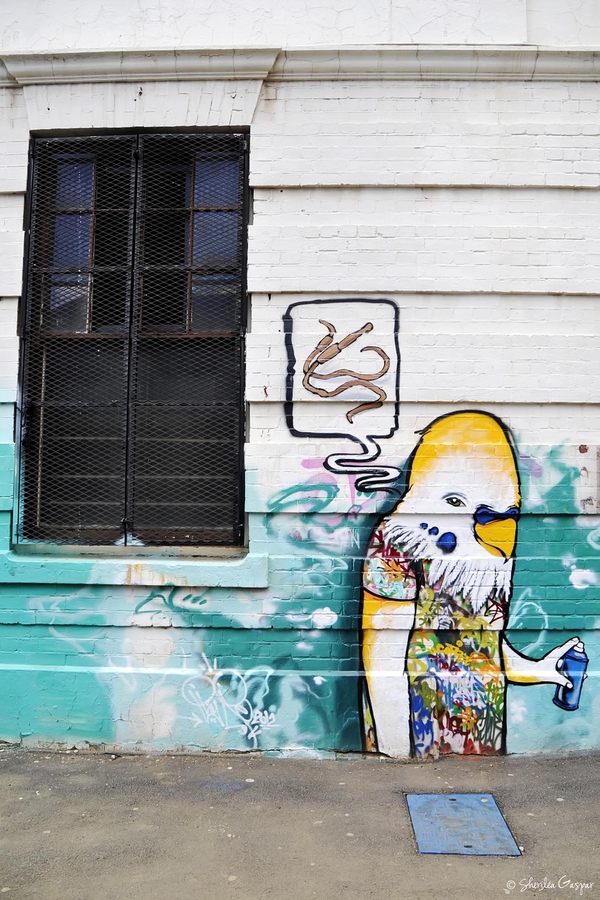 Street Tweety