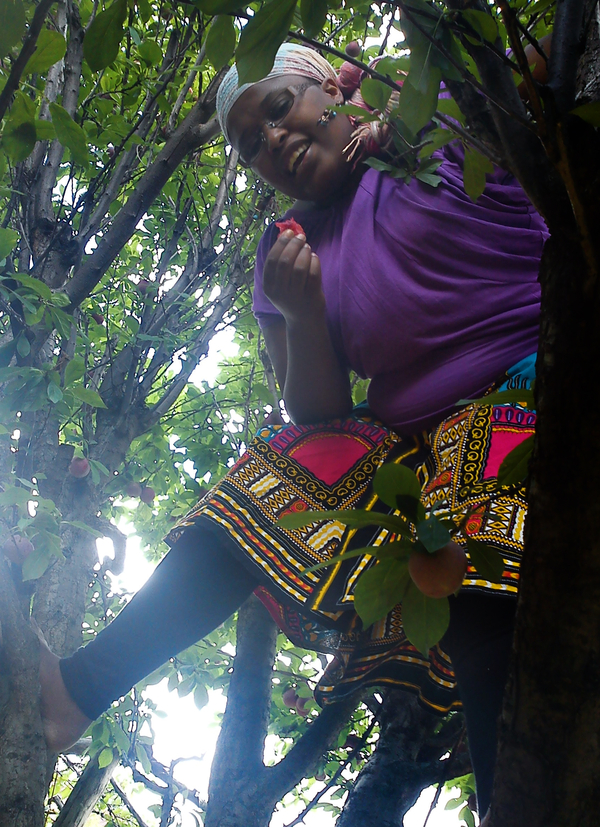 Big Bird In The Tree