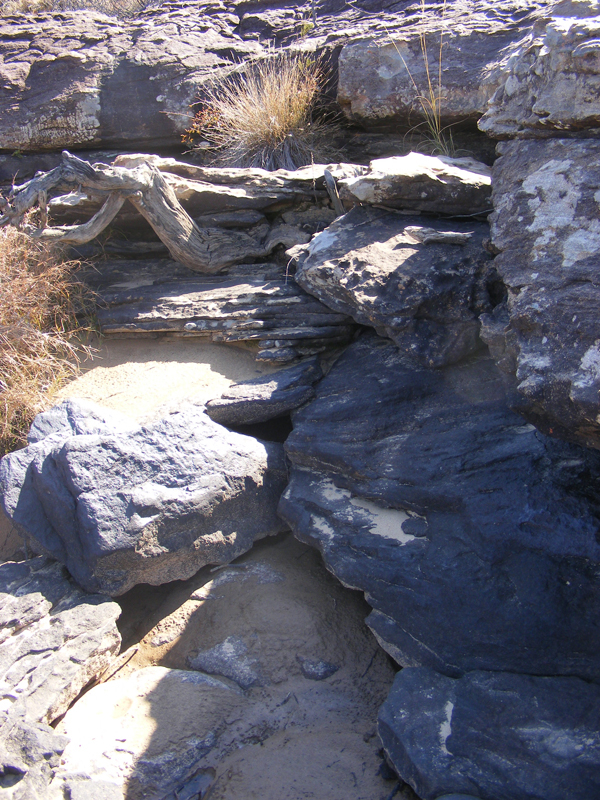 TravellingMan | Tsitsa