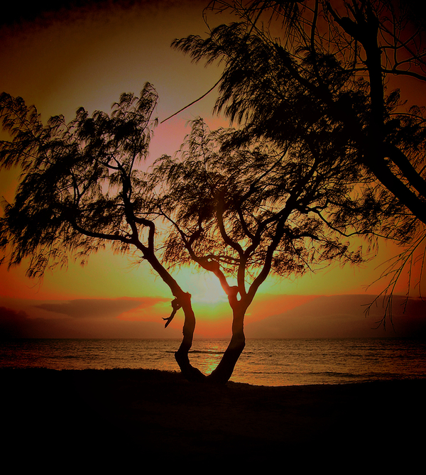 In a simple sunrise is the beauty of another day