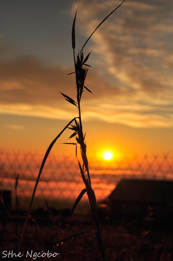 it will be all over...in the morning