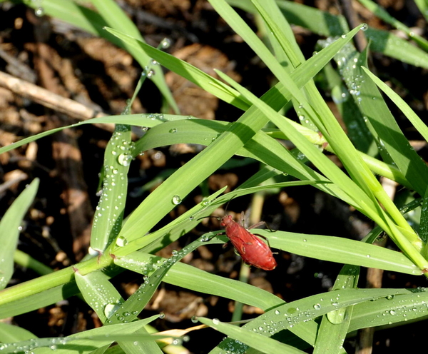 There's a new world out there