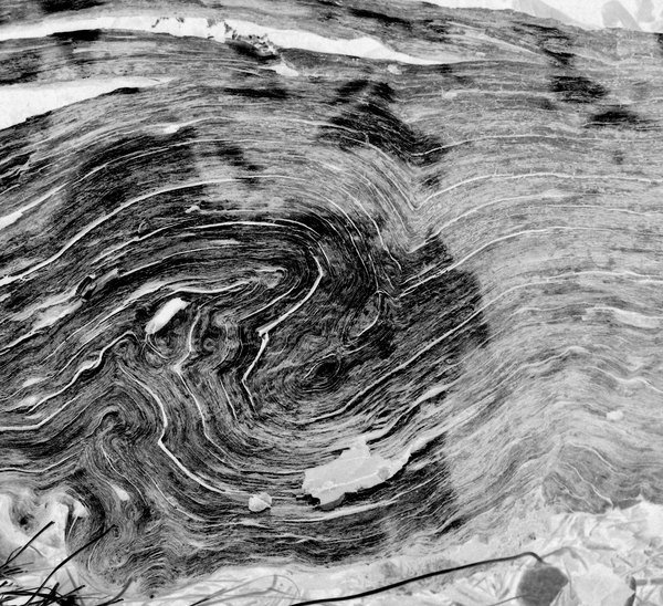 Forces of nature 0.7