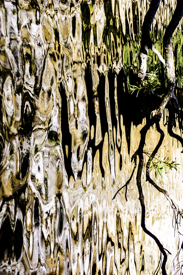 From DaVinci to the teenage mutant ninja turtle