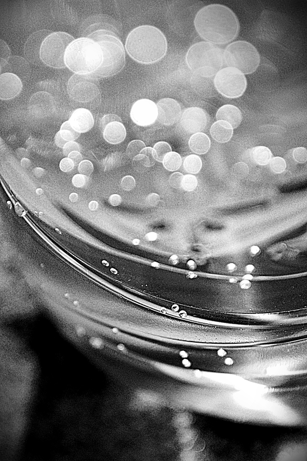 i can see clearly now the rain is gone