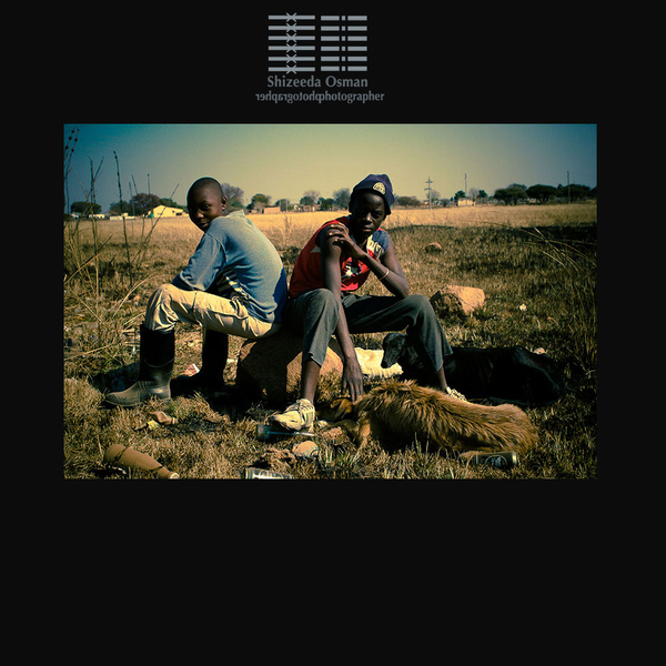 Two Boys and Their Dogs