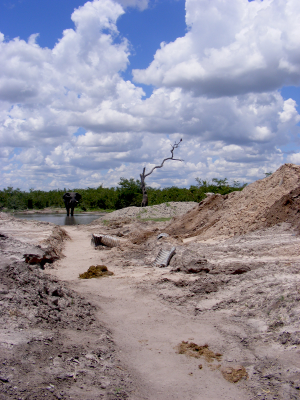 TravellingMan | Botswana -- Francistown