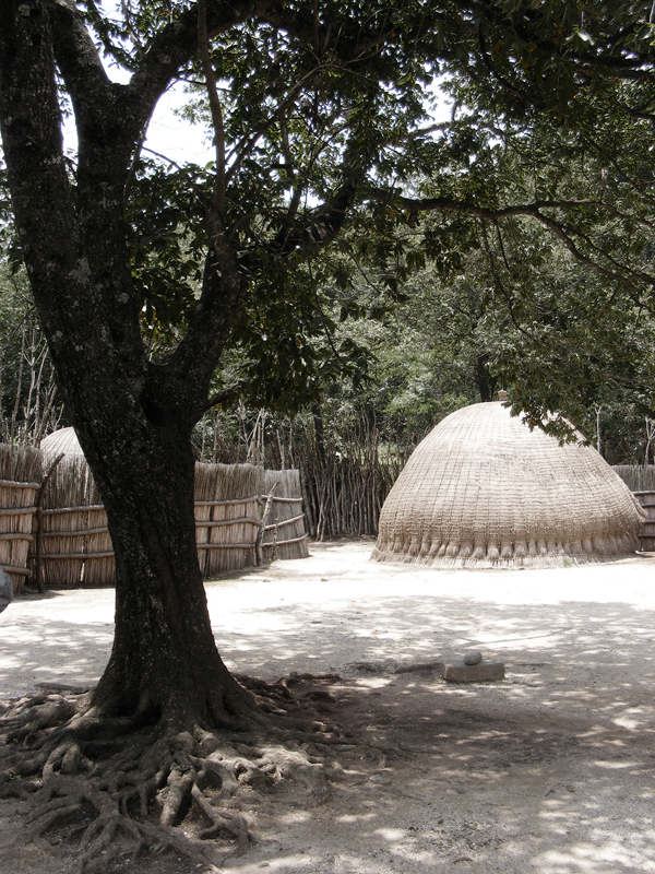 TravellingMan | Swaziland -- Homestead [5]