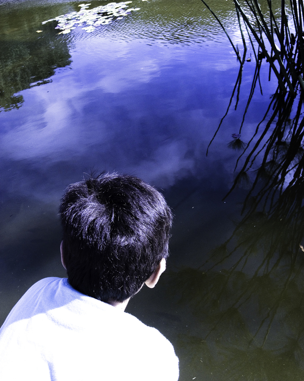 Concentration, Meditation, Contemplation