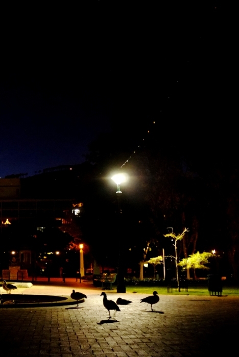 Wildlife installation