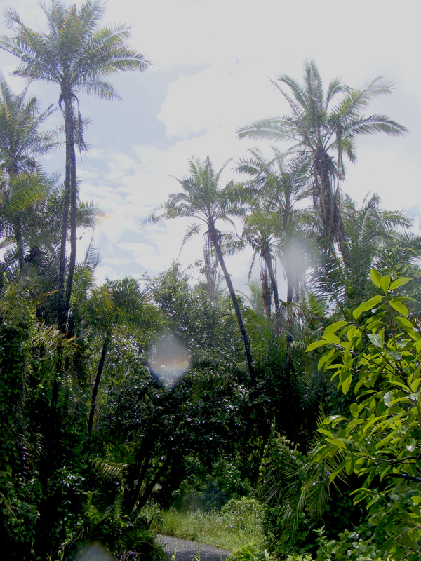 TravellingMan | Zimbabwe: Victoria Falls