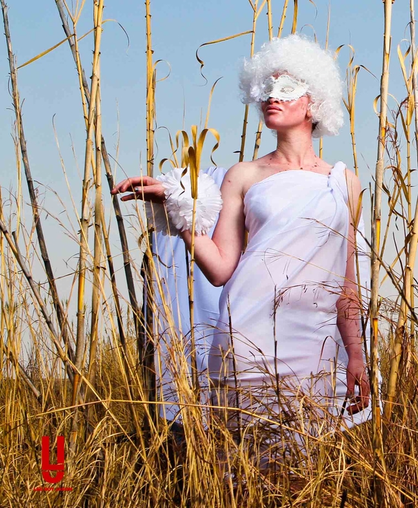 Bird in the bush......