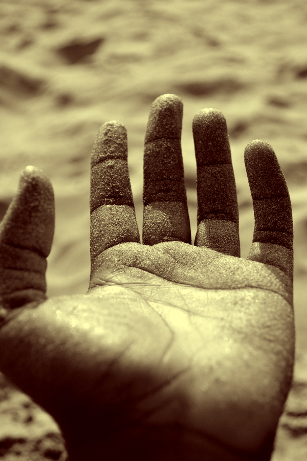 self portrait of perception