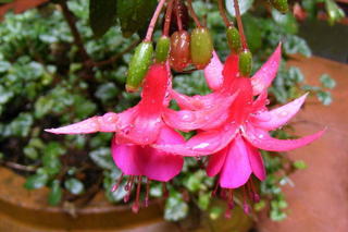 so fwesg, ya could taste it neh...