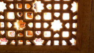 Those big, black eyes