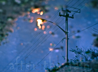 after the rain.....