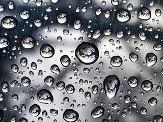 Don’t miss a thing...