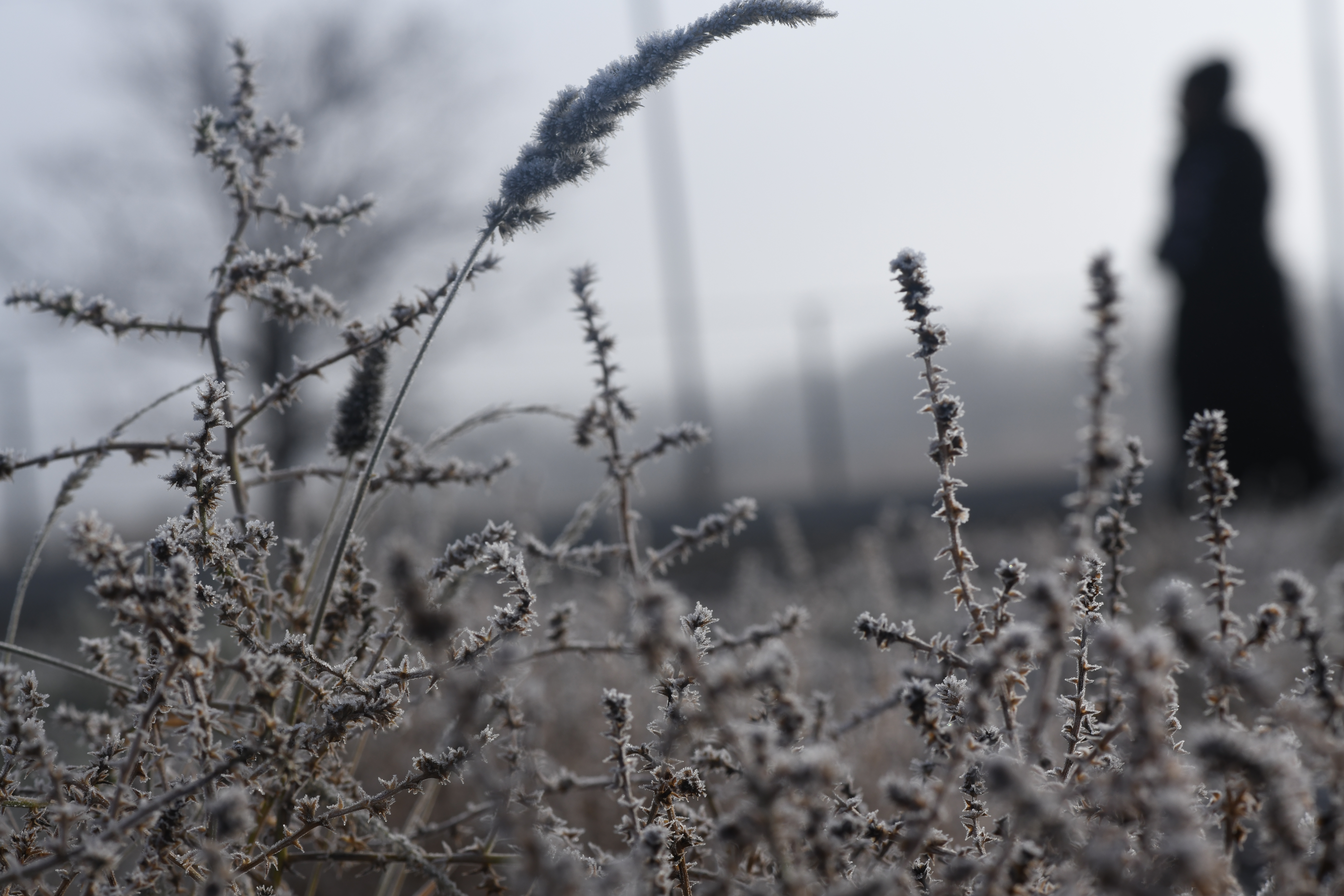 Winter 2018 - De Aar